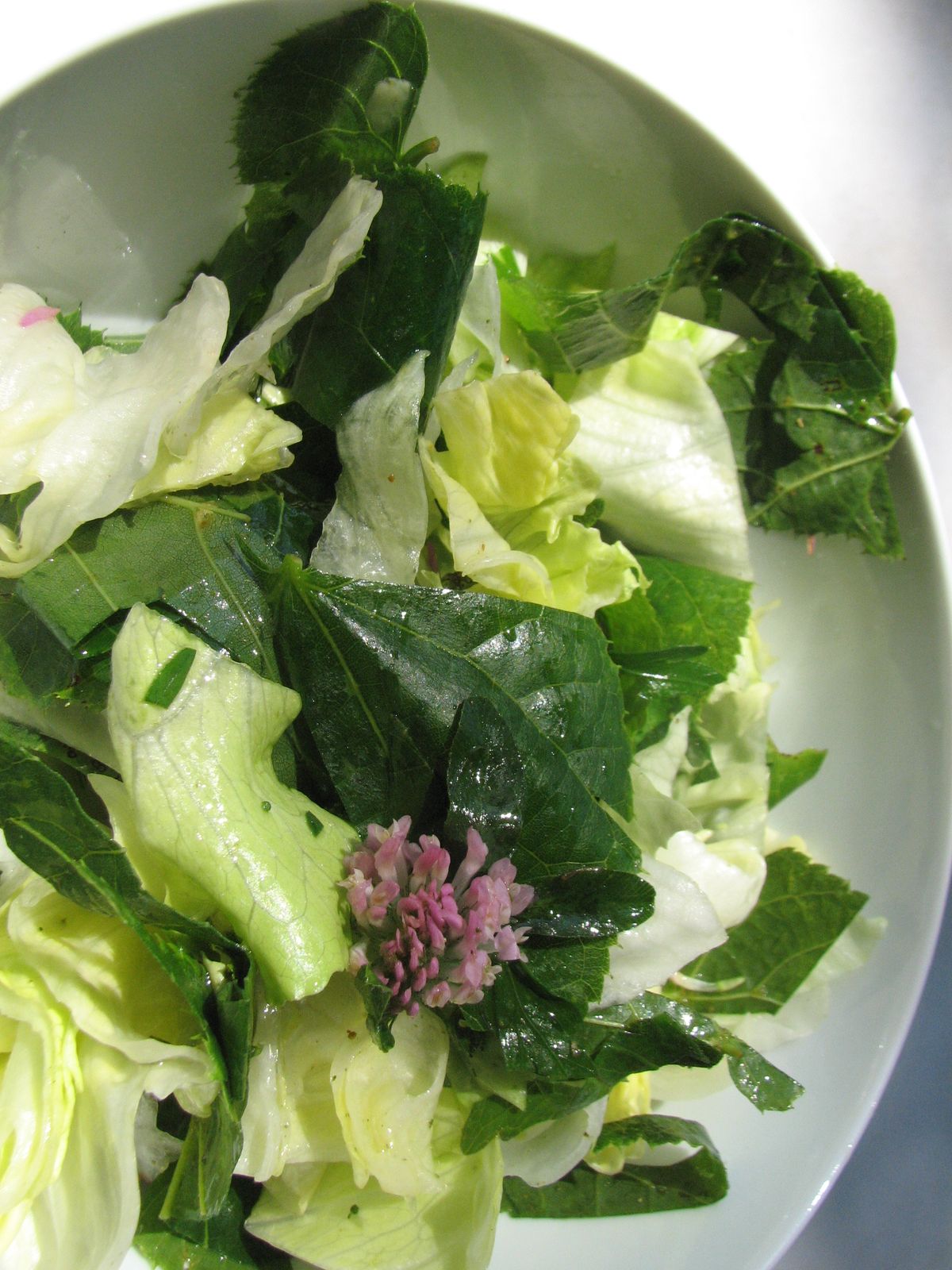 Lindensalat