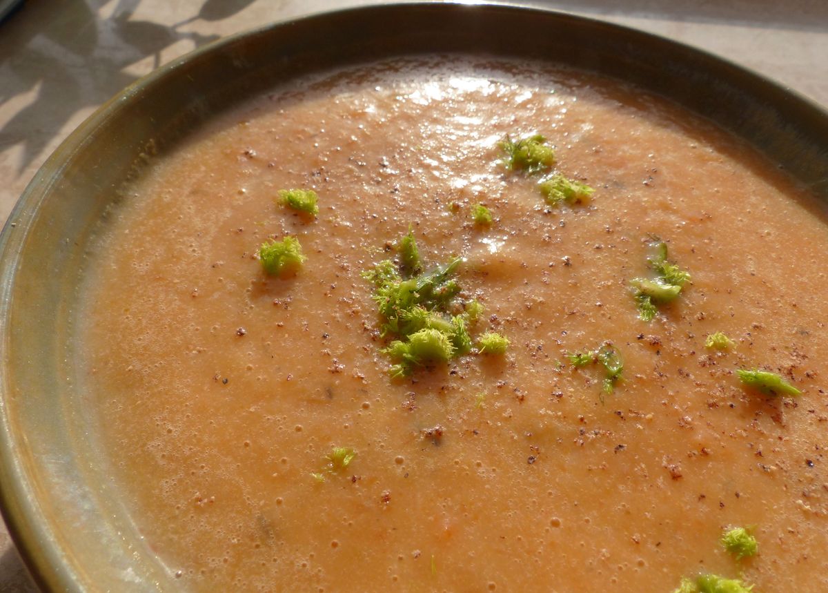 Pastinakensuppe mit Karotten