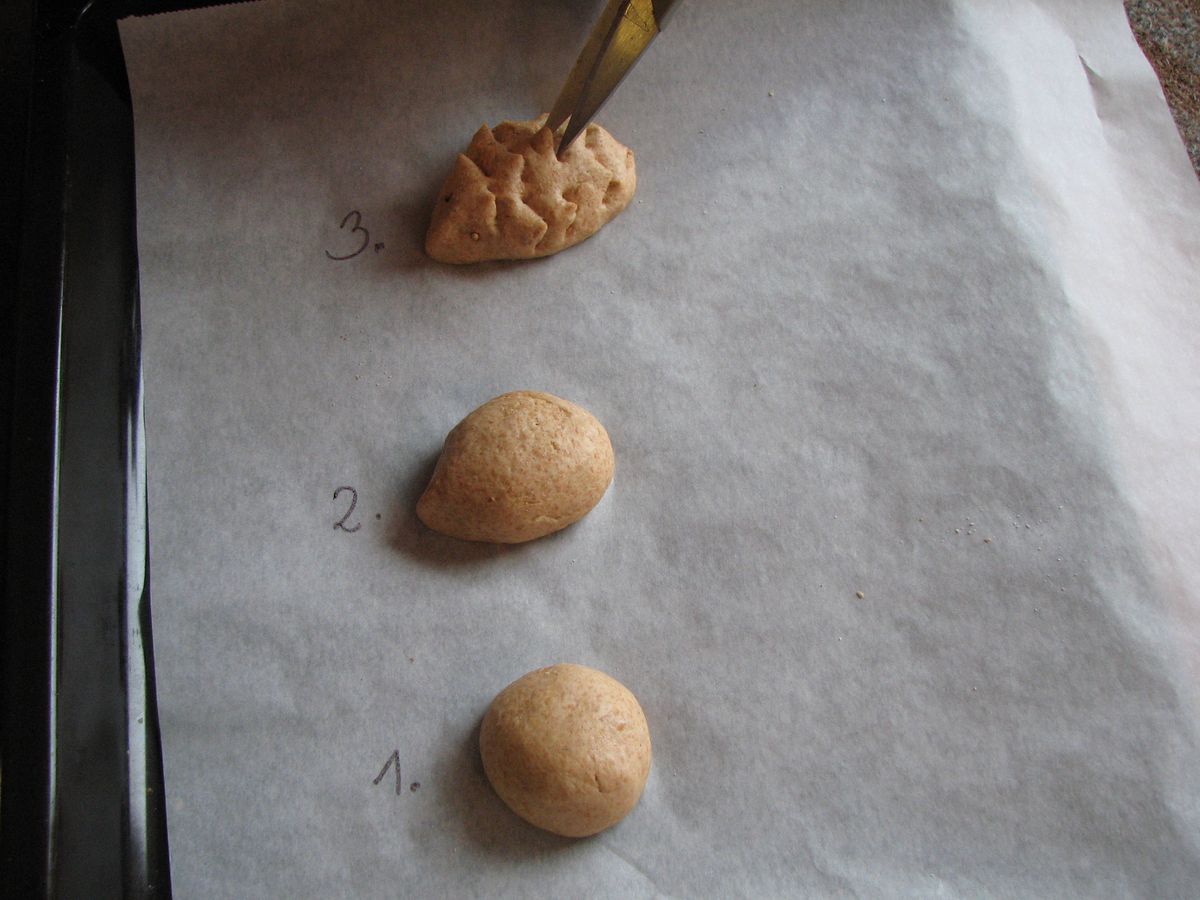 Brotigelchen