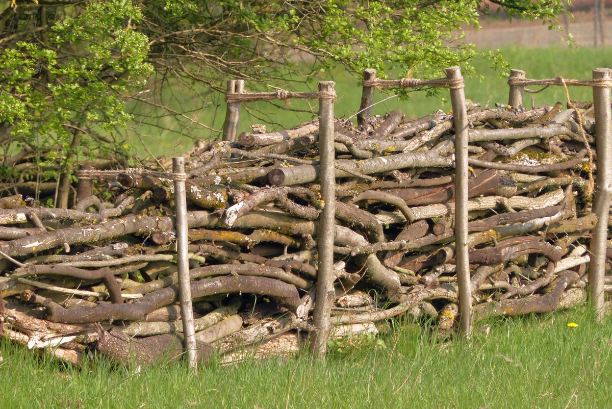 Benjes-Gartenhecke